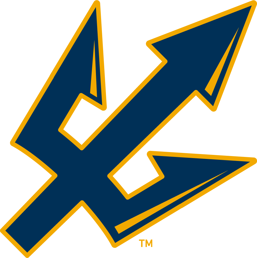 UC San Diego Tritons 2006-2018 Secondary Logo diy iron on heat transfer